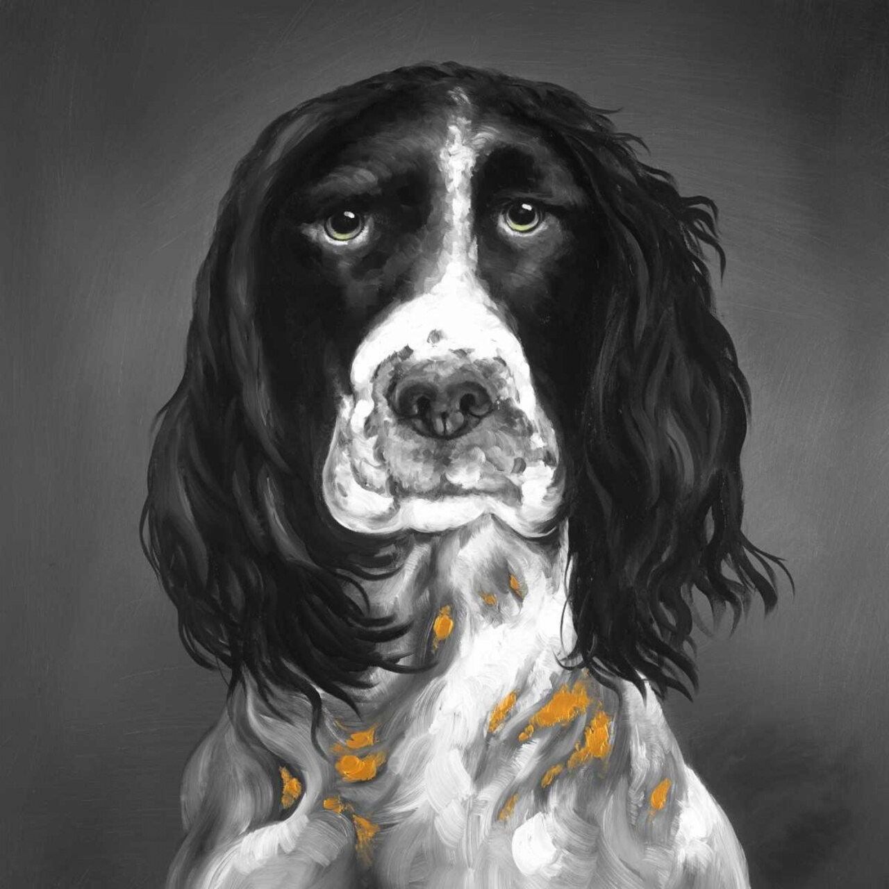 Beautiful English Springer Spaniel Poster Print by Atelier B Art Studio - Item # VARPDXBEGANI308